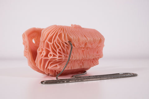 HY • MINI | SCHLOSSROSA