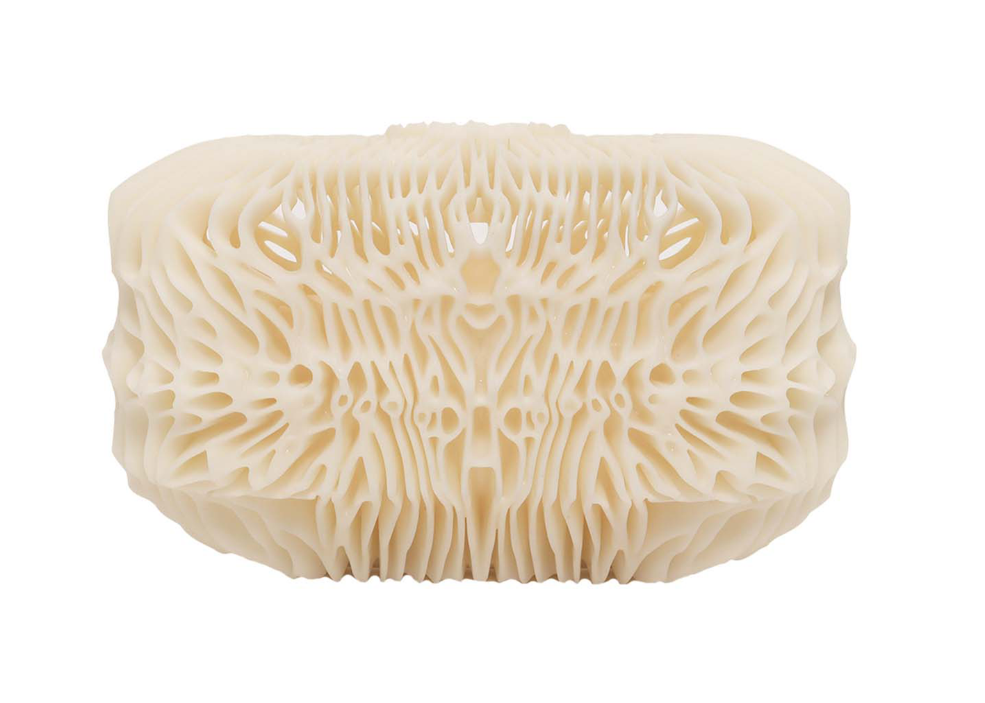 bone.png?v=1663088994
