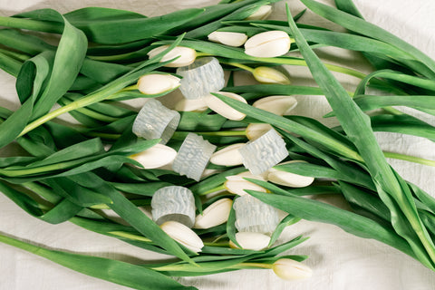 • LAMELLA NAPKIN RINGS • TRANSPARENT